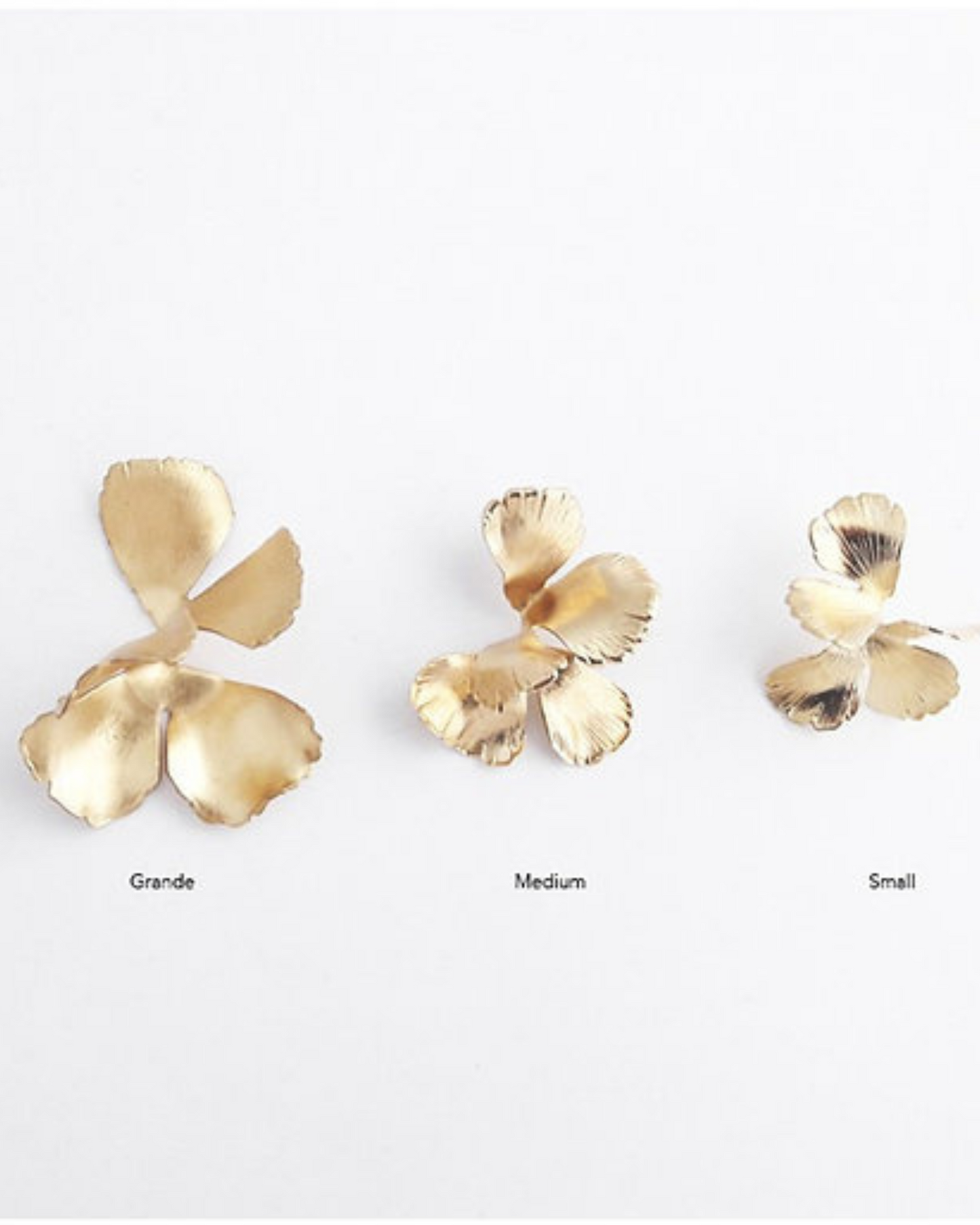 Univers Medium earrings