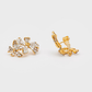 Berry Crystal Earrings