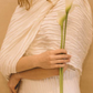 Erin Cape