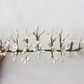 Adelaide headpiece